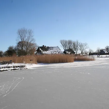 Boddenblick Fw Marlen Holiday home *