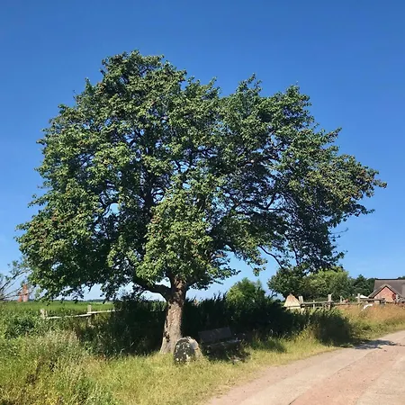 Boddenblick Fw Marlen Holiday home Barnstorf